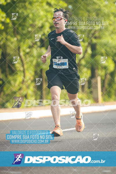 The Best Run Meia Maratona