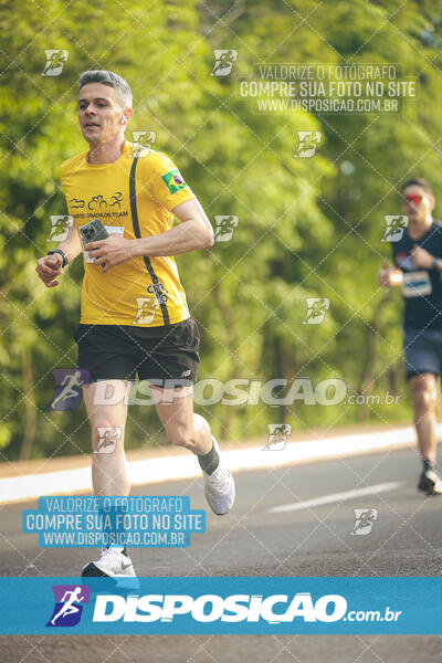 The Best Run Meia Maratona