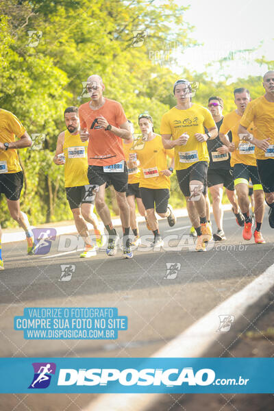 The Best Run Meia Maratona