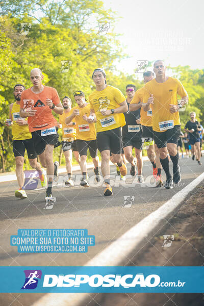 The Best Run Meia Maratona