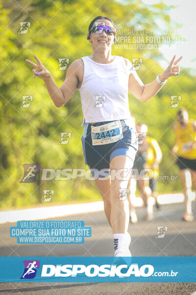 The Best Run Meia Maratona