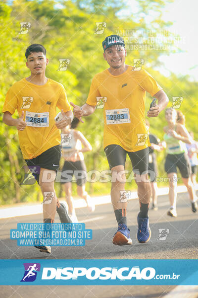 The Best Run Meia Maratona