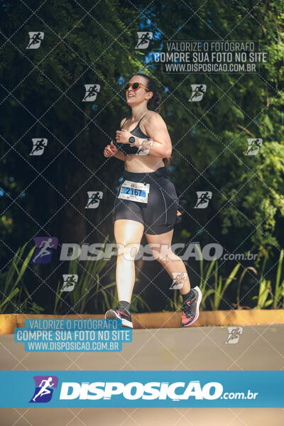 The Best Run Meia Maratona
