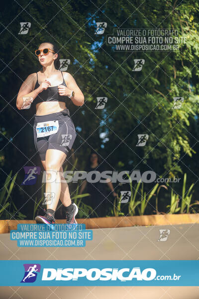 The Best Run Meia Maratona