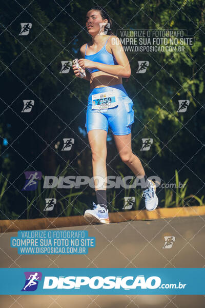 The Best Run Meia Maratona
