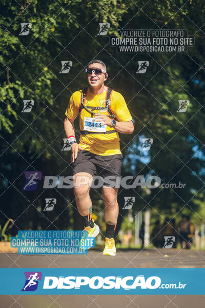 The Best Run Meia Maratona