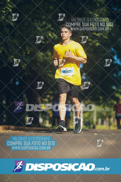 The Best Run Meia Maratona
