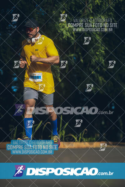 The Best Run Meia Maratona