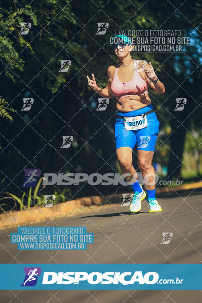 The Best Run Meia Maratona