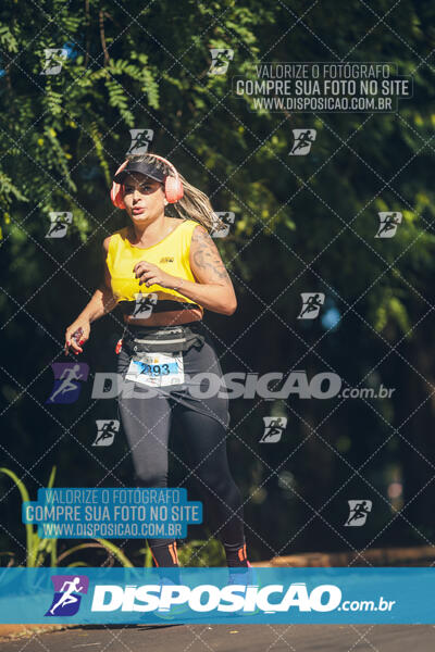 The Best Run Meia Maratona