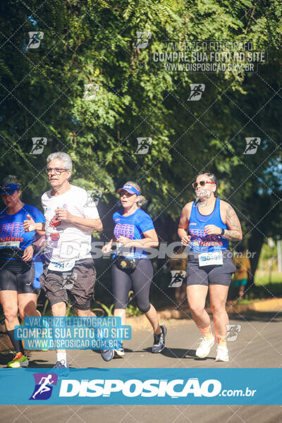 The Best Run Meia Maratona