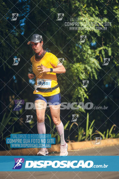 The Best Run Meia Maratona