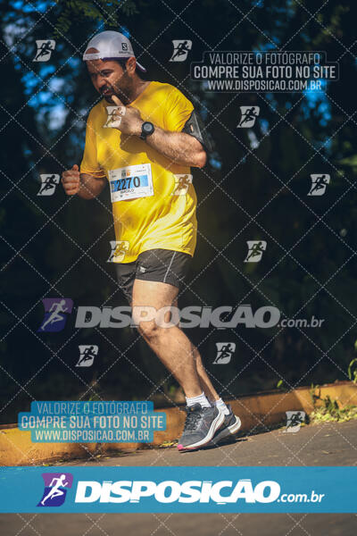 The Best Run Meia Maratona