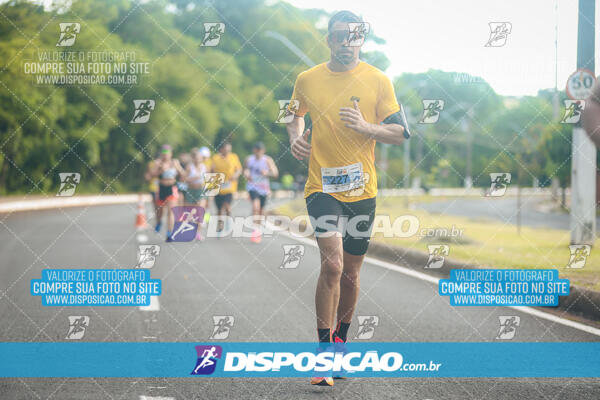 The Best Run Meia Maratona