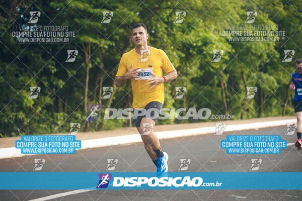 The Best Run Meia Maratona
