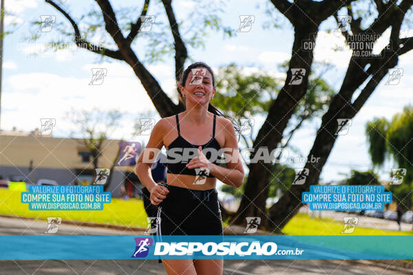 LEC Run 2024
