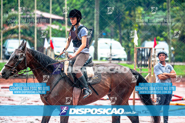 Prova Interna de Hipismo - Clube Hípico Maringá