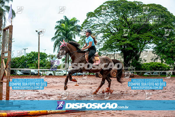 Prova Interna de Hipismo - Clube Hípico Maringá