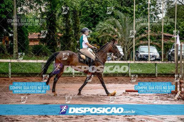 Prova Interna de Hipismo - Clube Hípico Maringá