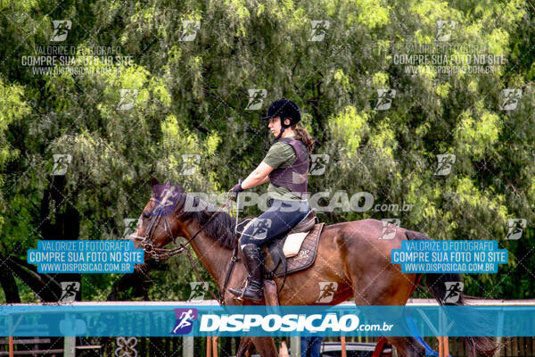 Prova Interna de Hipismo - Clube Hípico Maringá