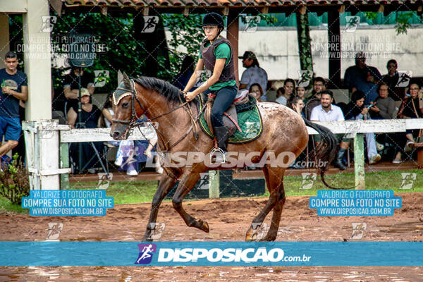 Prova Interna de Hipismo - Clube Hípico Maringá