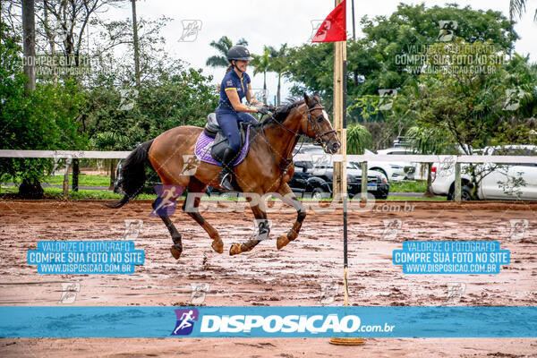 Prova Interna de Hipismo - Clube Hípico Maringá