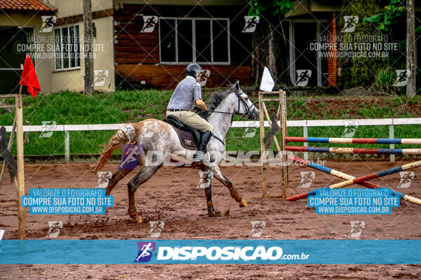 Prova Interna de Hipismo - Clube Hípico Maringá