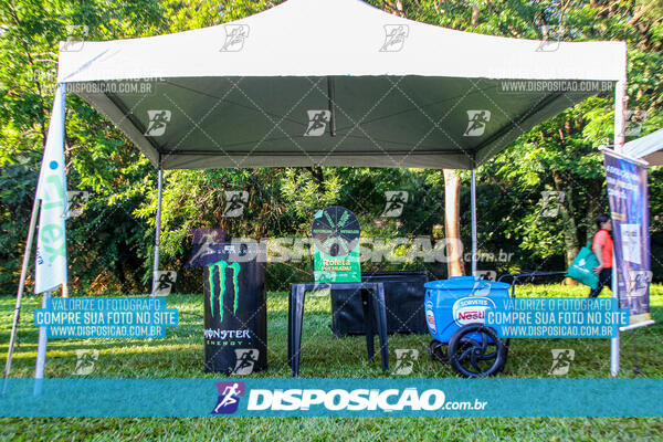 Vale Verde Run 2024