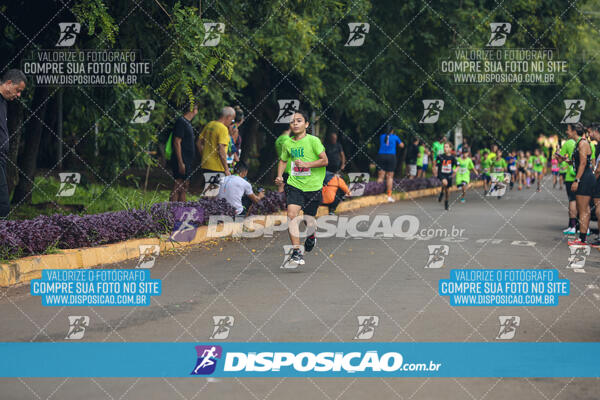 Vale Verde Run 2024
