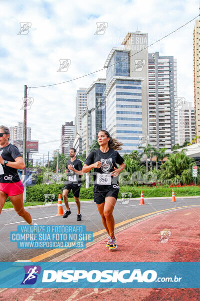 Cats Run Londrina 2025