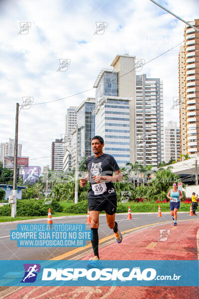 Cats Run Londrina 2025