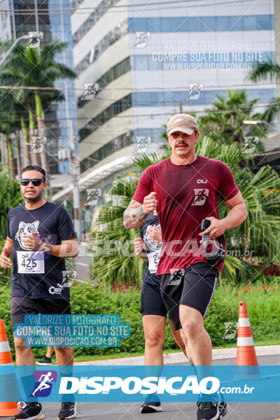 Cats Run Londrina 2025