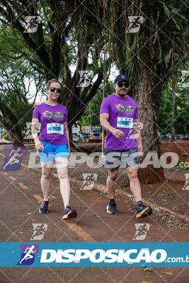 7ª Amadeus Beer Run