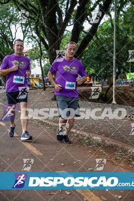 7ª Amadeus Beer Run