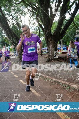 7ª Amadeus Beer Run