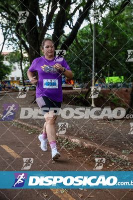 7ª Amadeus Beer Run