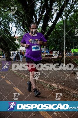 7ª Amadeus Beer Run
