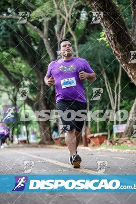 7ª Amadeus Beer Run