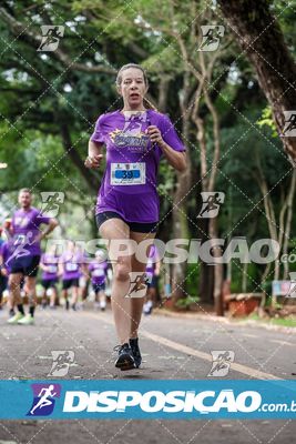 7ª Amadeus Beer Run
