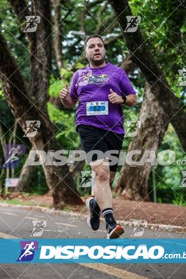 7ª Amadeus Beer Run