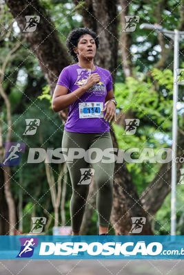 7ª Amadeus Beer Run