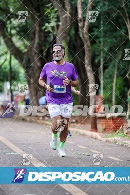 7ª Amadeus Beer Run