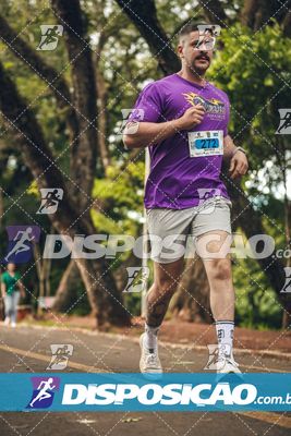 7ª Amadeus Beer Run
