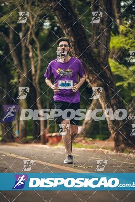 7ª Amadeus Beer Run