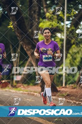 7ª Amadeus Beer Run