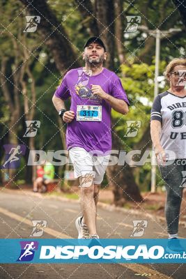 7ª Amadeus Beer Run