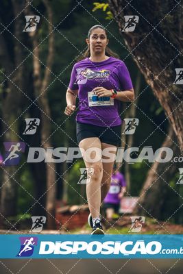 7ª Amadeus Beer Run