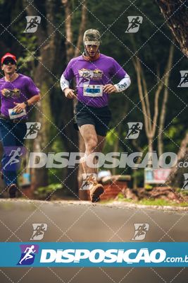7ª Amadeus Beer Run