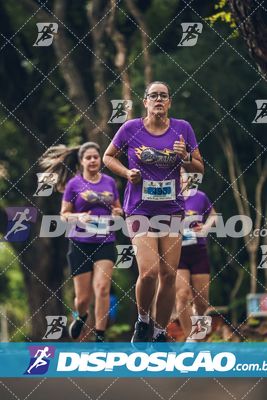 7ª Amadeus Beer Run