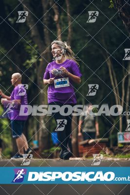 7ª Amadeus Beer Run